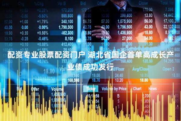 配资专业股票配资门户 湖北省国企首单高成长产业债成功发行